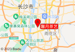 馨月茶艺