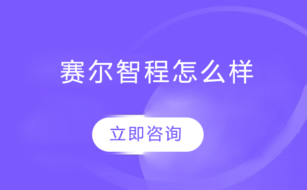 北京赛尔智程国际教育深度解析