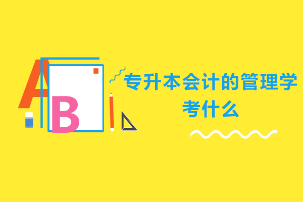 专升本会计的管理学考什么