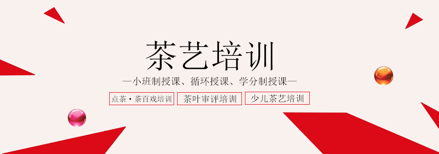 茶艺教学实景