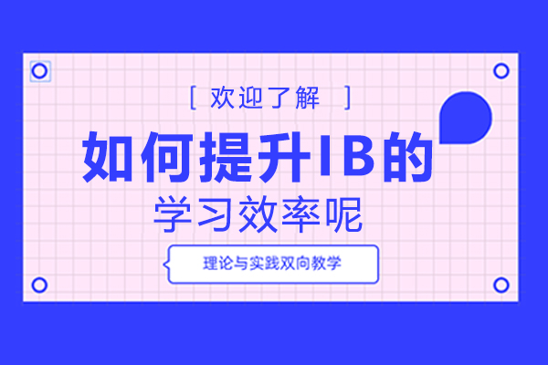 如何提升IB的学习效率呢