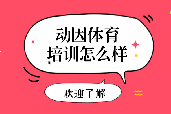 上海动因体育培训怎么样