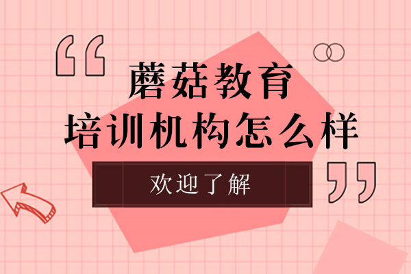 上海蘑菇教育培训机构怎么样-靠谱吗