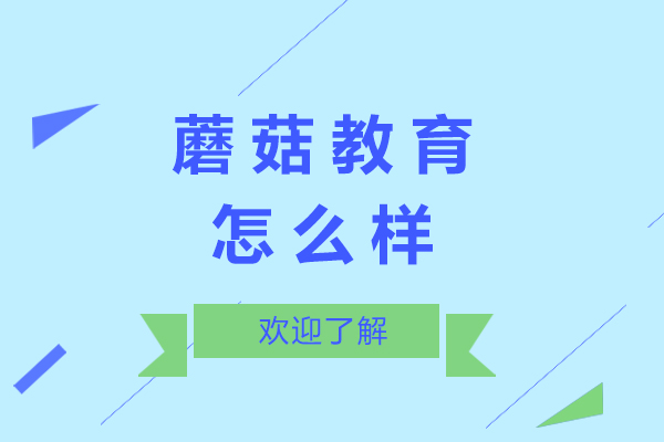 上海蘑菇教育怎么样啊-好不好