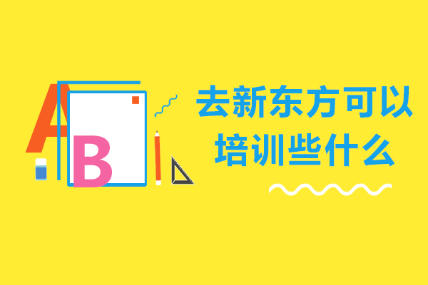 去新东方可以培训些什么