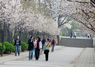 济南山师育才