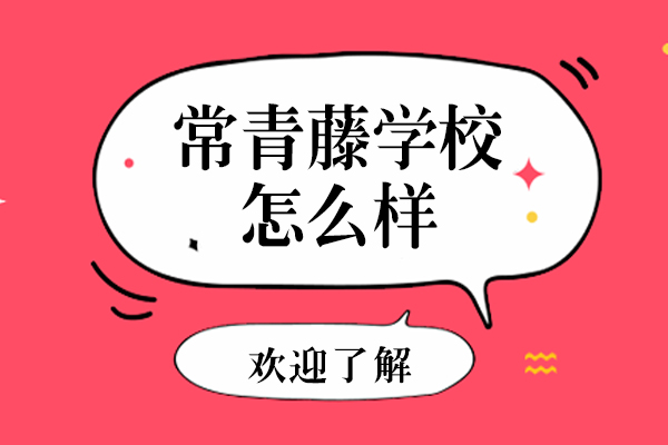 上海常青藤学校怎么样-好不好