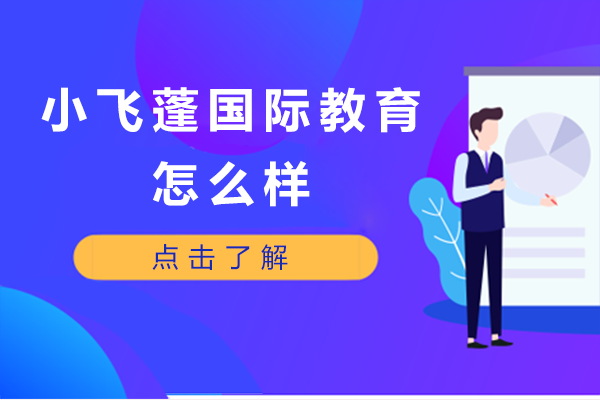 小飞蓬国际教育怎么样