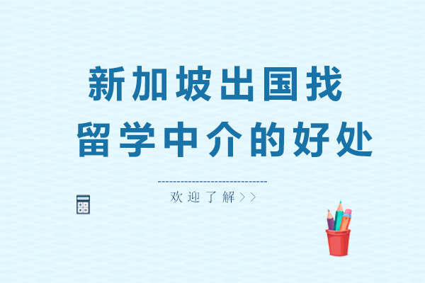 新加坡留学中介服务全解析
