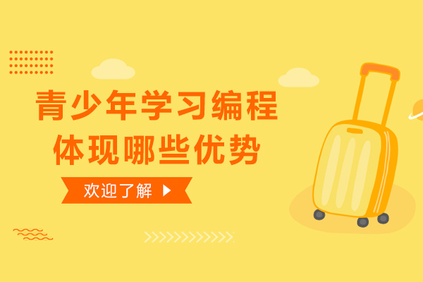 青少年学习编程体现哪些优势