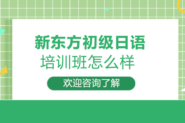龙岩新东方初级日语培训班怎么样