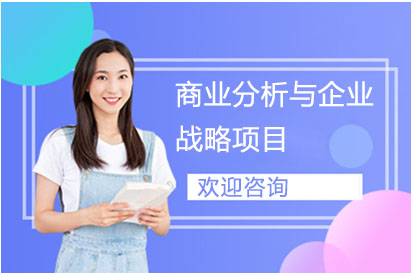 长沙商业分析与企业战略项目