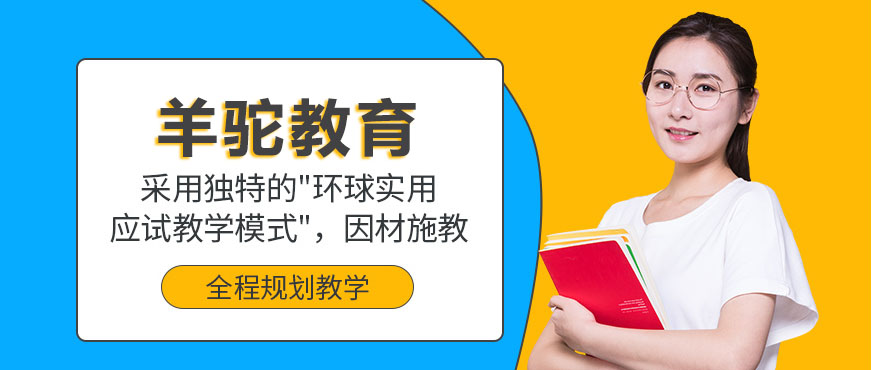 沈阳羊驼教育智能课堂