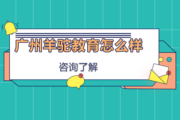 广州羊驼教育怎么样