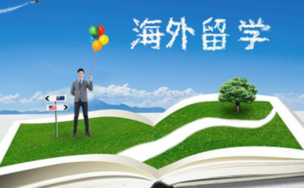 慧行小鸥留学服务解析：全球教育规划与申请指南