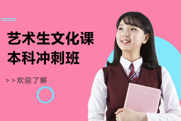 上海艺术生文化课本科冲刺培训课程