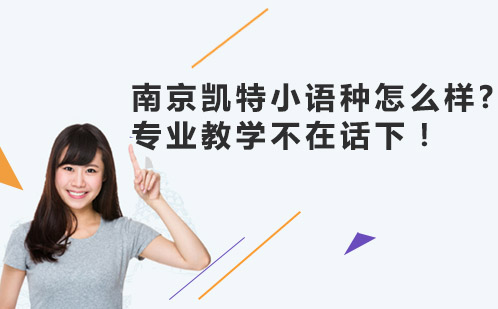 南京凯特欧洲语系教学实力深度解析