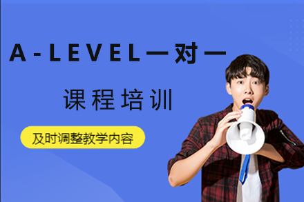 A-Level一对一课程培训