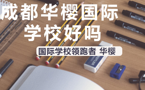 成都华樱教育深度解析