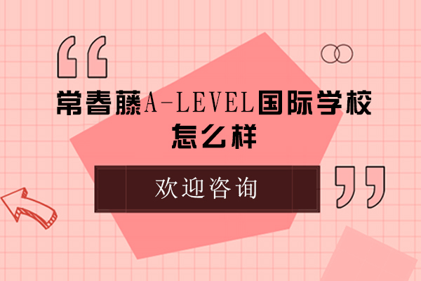 杭州常春藤A-LEVEL国际学校怎么样