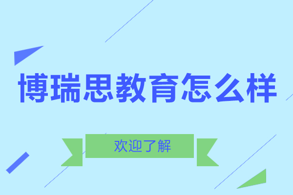 南京博瑞思教育怎么样