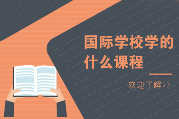 国际学校学的什么课程