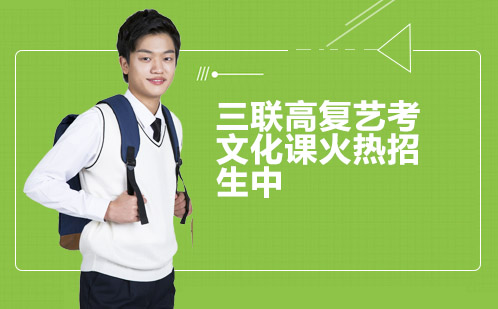 艺考生文化课提升方案解析
