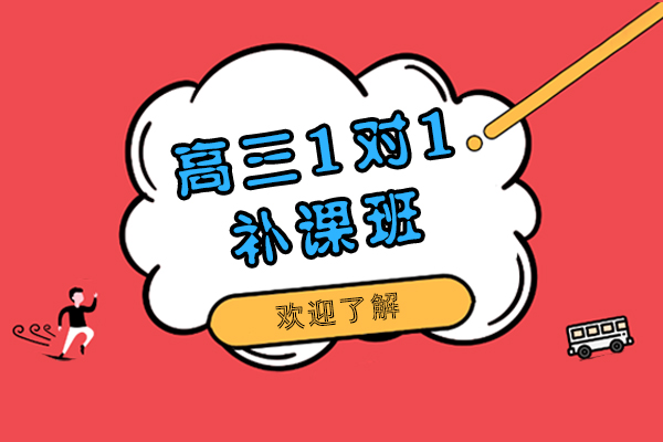 上海高三1对1补课班-高三1对1辅导机构