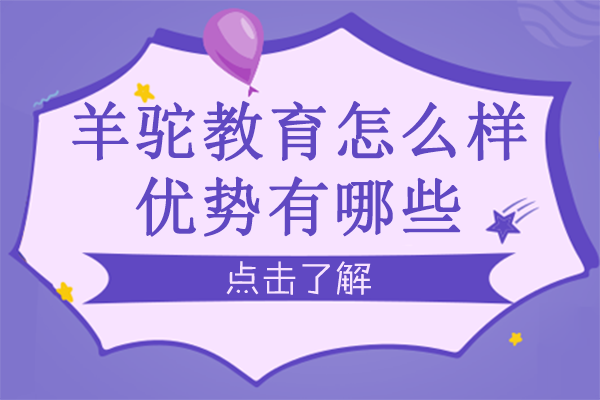 长沙羊驼教育怎么样-优势有哪些