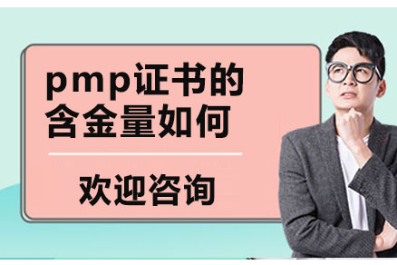 项目管理黄金认证深度解析