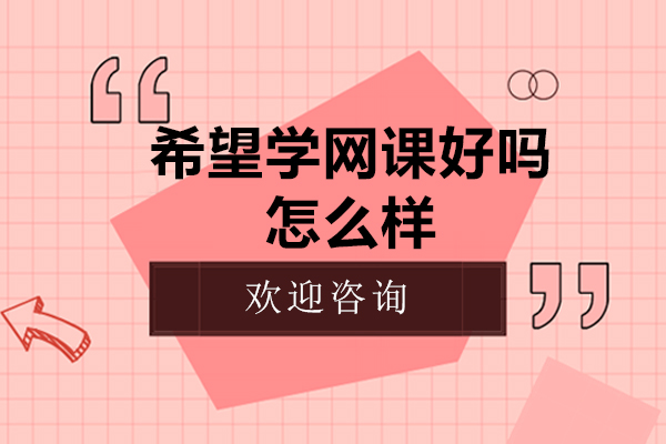 希望学网校深度解析：创新教学模式与教育优势