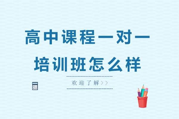 高中课程一对一培训班怎么样