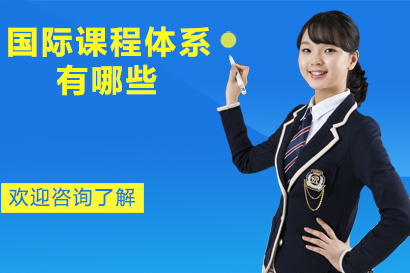 全球七大主流国际课程深度解析