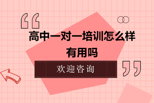 高中一对一培训怎么样-有用吗