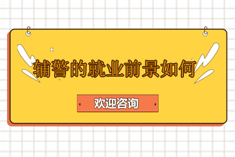 深度解析辅警职业发展路径与趋势