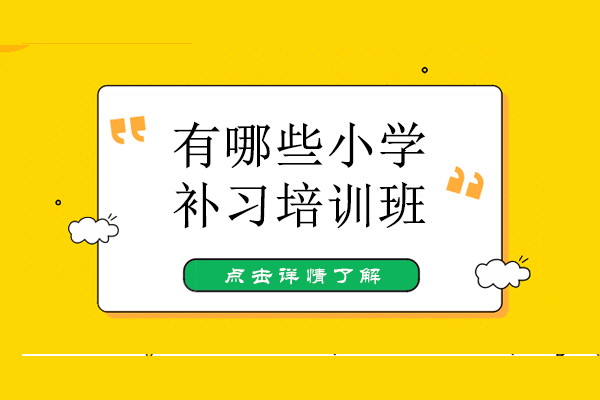 广州有哪些小学补习培训班
