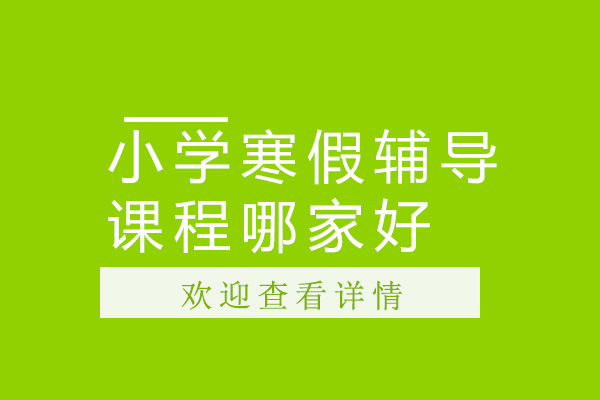 小学寒假辅导课程哪家好