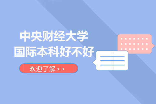 北京中央财经大学国际本科好不好