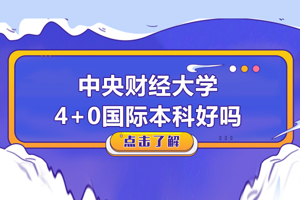 中央财经大学中外合作本科深度解析