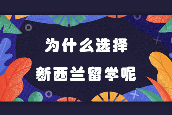 为什么选择新西兰留学呢