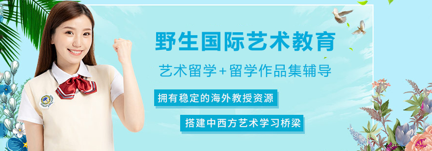 野生国际艺术教育校区环境