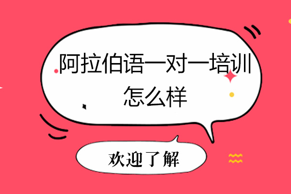 阿拉伯语一对一培训怎么样