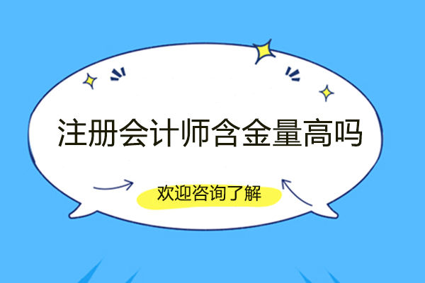 萍乡注册会计师含金量高吗