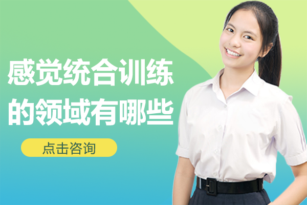 感觉统合训练的领域有哪些