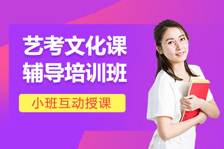 艺考文化课补习班