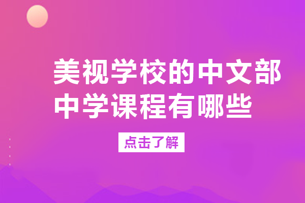 成都美视学校的中文部中学课程有哪些