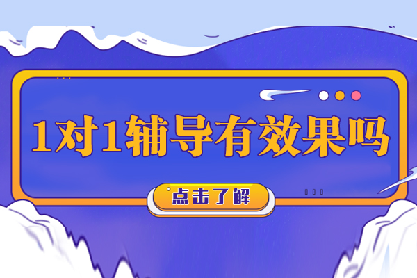 个性化辅导效果深度解析