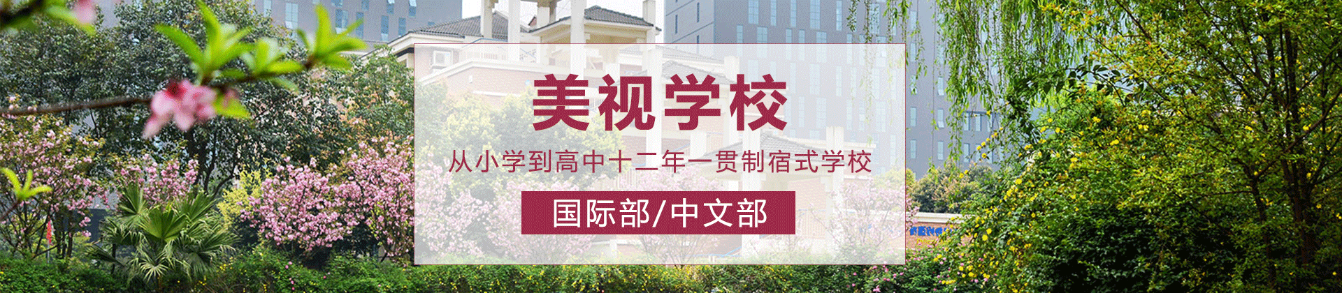 成都美视学校