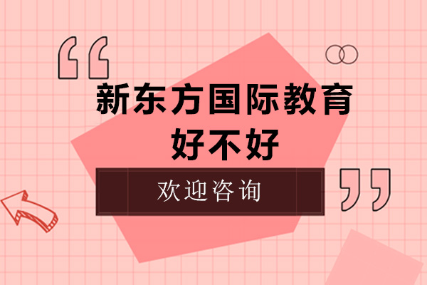 佛山新东方国际教育深度解析