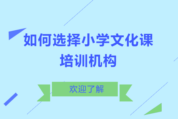 濮阳如何选择小学文化课培训机构